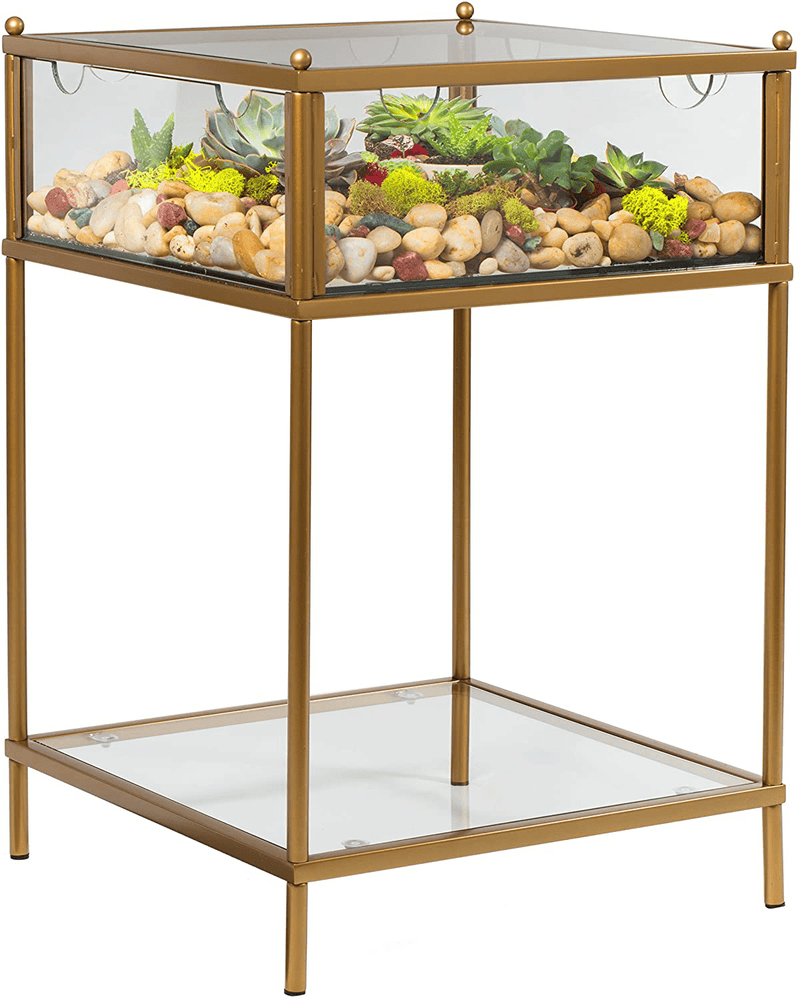 Round Terrarium Display End Table with Reinforced Glass in Gold Iron- 20"W x 26.5"H- Great Indoor Decor for Any Home or Office- DIY Garden for Fern Moss Succulents Cactus- A Unique Any Occasion Gift