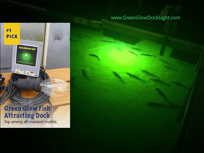 Saltwater Approved Barnacle Burner Underwater Fish Light, 250 Watt Extreme Brilliant Green 21,000 Lumens Single Dock Light 50' Marine Grade Lamp Cable, Automatic Dusk to Dawn, Easy Self Installation. Home & Garden > Pool & Spa > Pool & Spa Accessories Green Glow Dock Light   