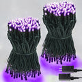 SANJICHA 2-Pack 66FT 200 LED Christmas Lights, Extendable Christmas Tree Lights, Waterproof Outdoor String Lights Indoor with Memory Function & Timer & 8 Lighting Modes (Warm White) Home & Garden > Lighting > Light Ropes & Strings SANJICHA Purple  