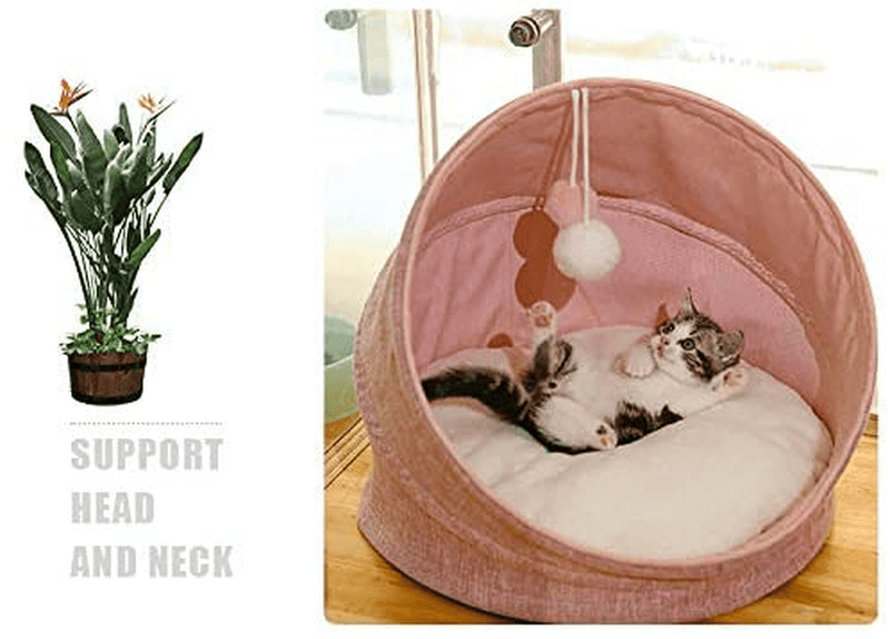 SAVFOX Cute Cat Bed Elevated Collapsible Covered Capsule Cave Tent, Self-Heated Removable Cushion Machine Washable Anti-Slip Bottom Bed House with Danging Cat Toy for Kitty Puppy Rabbit (18'' X 18'') Animals & Pet Supplies > Pet Supplies > Cat Supplies > Cat Beds SAVFOX   