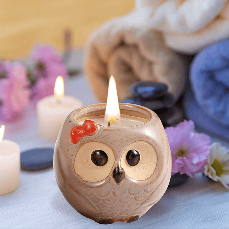 Scented Candles Sets Gifts for Women - 3 Pack Novelty Owl Natural Soy Candles for Home Scented, Aromatherapy Candles Bulk for Garden, Porch, Outdoor Patio Decor (English Pear & Fressia, Jasmine, Fig) Home & Garden > Decor > Home Fragrances > Candles Hsuner   