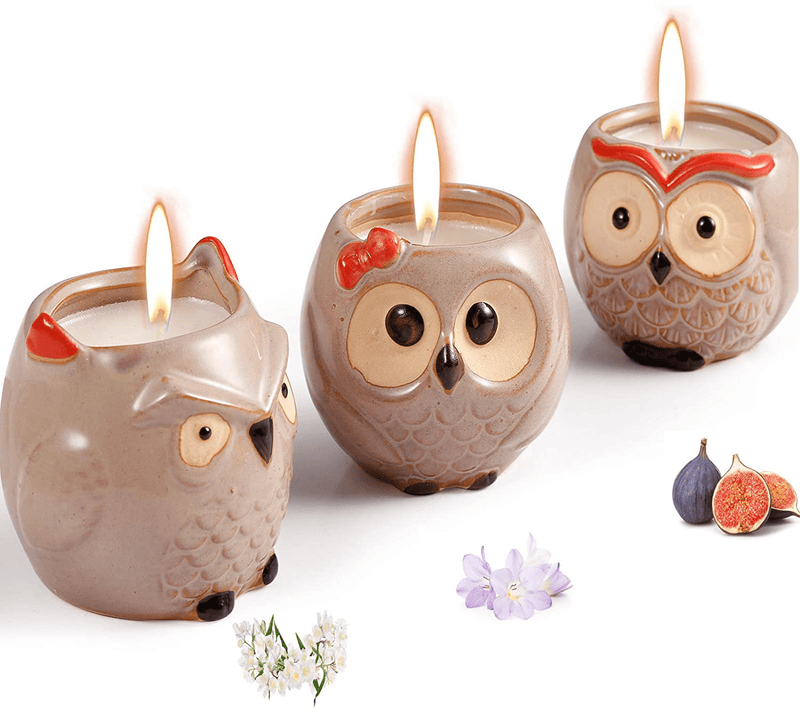 Scented Candles Sets Gifts for Women - 3 Pack Novelty Owl Natural Soy Candles for Home Scented, Aromatherapy Candles Bulk for Garden, Porch, Outdoor Patio Decor (English Pear & Fressia, Jasmine, Fig) Home & Garden > Decor > Home Fragrances > Candles Hsuner English Pear & Freesia,jasmine,mediterranean Fig  