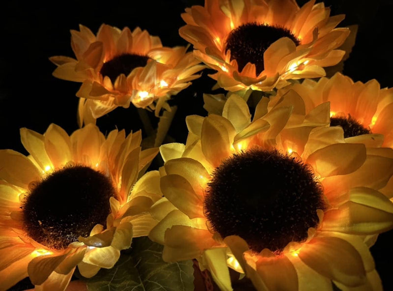 Solar LED Outdoor Sunflower Garden Lighting, (2 Pk) IP65 Waterproof Lamp, Automatic Charging Solar Garden Lights, Large Realistic Flowers for Courtyard, Front Yard, Patio, Balcony, Entryway (2 Pieces) Home & Garden > Lighting > Lamps 2bffs.com   
