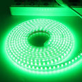 SUYOOULIN LED Strip Lights, 164Ft/50M Super Bright 50000LM 5050 60 Leds/M LED Light Strips, High Voltage AC110V-130V Waterpoof IP68 LED Home Garden Outdoor Decoration(Daylight White 6500K) Home & Garden > Pool & Spa > Pool & Spa Accessories SUYOOULIN Green 66ft/20m 