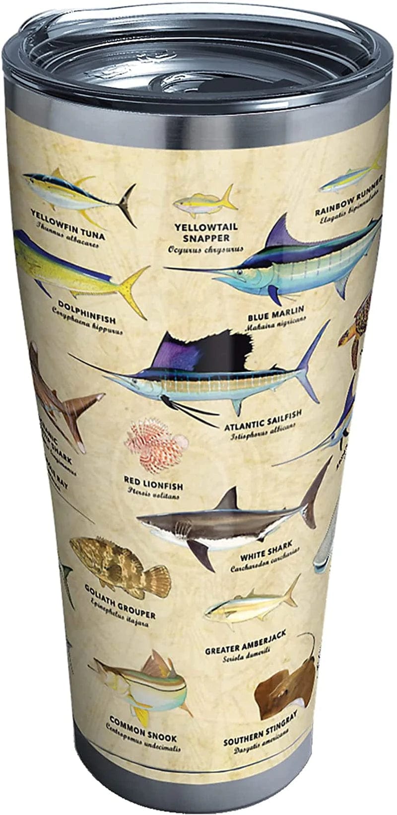 Tervis Made in USA Double Walled Guy Harvey Insulated Tumbler Cup Keeps Drinks Cold & Hot, 16Oz Mug - No Lid, Charts Home & Garden > Kitchen & Dining > Tableware > Drinkware Tervis Stainless Steel 30oz 