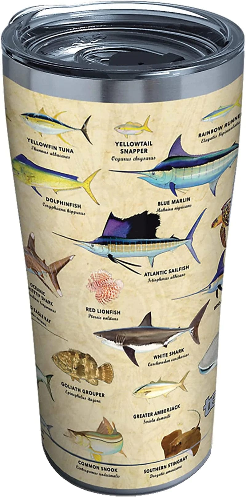 Tervis Made in USA Double Walled Guy Harvey Insulated Tumbler Cup Keeps Drinks Cold & Hot, 16Oz Mug - No Lid, Charts Home & Garden > Kitchen & Dining > Tableware > Drinkware Tervis Stainless Steel 20oz 