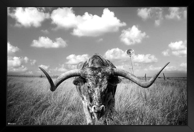 Texas Longhorn Standing in Pasture Room Home Decoration Living Room and Modern Farmhouse Decor Black and White Art Posters Bull Animal Pictures Print Farm House Cool Wall Decor Art Print Poster 36X24