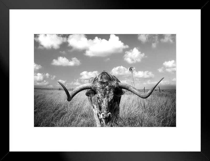 Texas Longhorn Standing in Pasture Room Home Decoration Living Room and Modern Farmhouse Decor Black and White Art Posters Bull Animal Pictures Print Farm House Cool Wall Decor Art Print Poster 36X24
