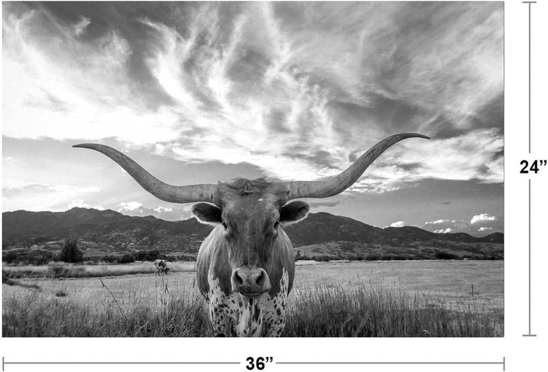 Texas Longhorn Standing in Pasture Room Home Decoration Living Room and Modern Farmhouse Decor Black and White Art Posters Bull Animal Pictures Print Farm House Cool Wall Decor Art Print Poster 36X24 Home & Garden > Decor > Artwork > Posters, Prints, & Visual Artwork Poster Foundry   