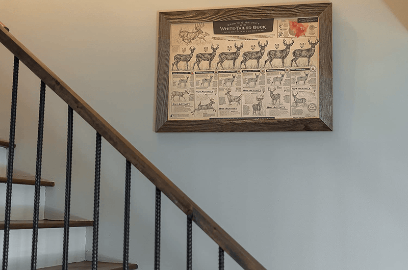 "The Growth and Maturity of the White-Tailed Buck" Paper Print Home & Garden > Decor > Artwork > Posters, Prints, & Visual Artwork Ryan Kirby Art   