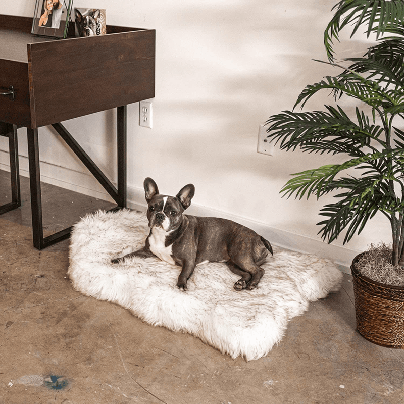 Treat a Dog Puprug Faux Fur Memory Foam Orthopedic Dog Bed, Premium Memory Foam Base, Ultra-Soft Faux Fur Cover, Modern and Attractive Design (Multiple Sizes & Styles) Animals & Pet Supplies > Pet Supplies > Dog Supplies > Dog Beds PAW BRANDS   