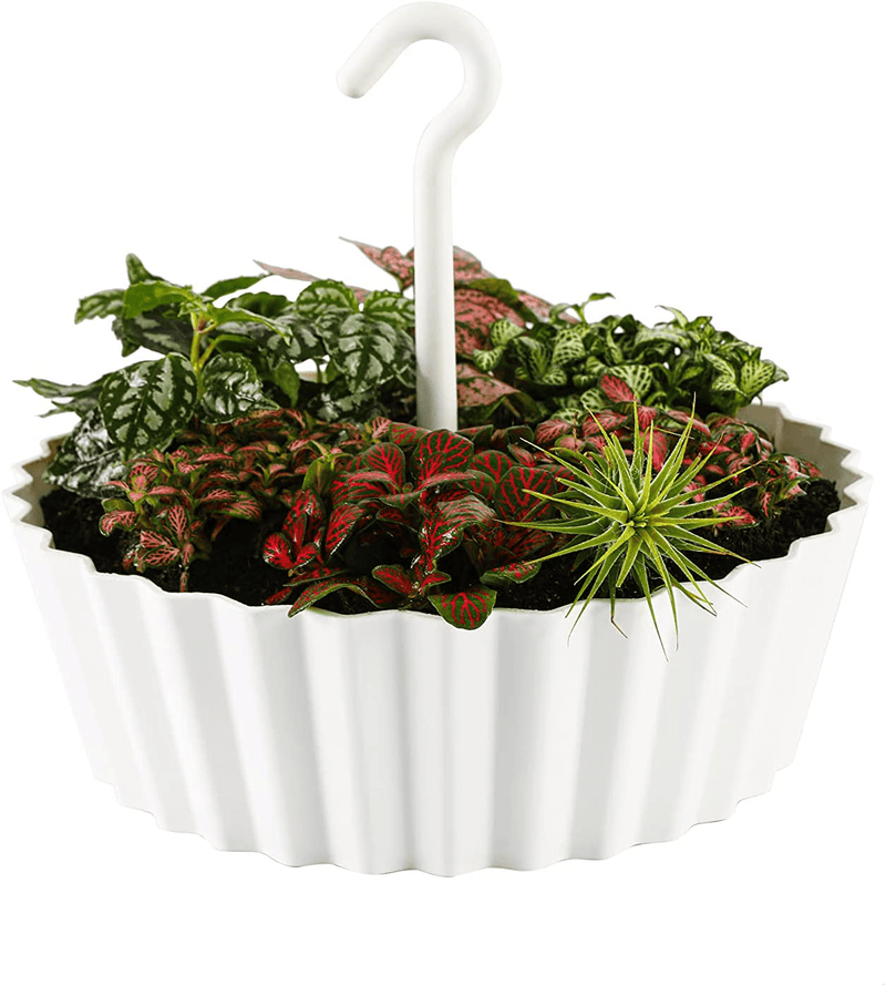 TreeNest Hanging Planters, Flower Plant Pots for Indoor/Outdoor Recyclable Plastic Hanging Baskets with Hook and Drain Hole Multifunction 3 in 1 Christmas Tree Stand Home & Garden > Decor > Seasonal & Holiday Decorations > Christmas Tree Stands Tree Nest White 12 Inch Lace-1pc 
