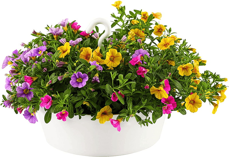 TreeNest Hanging Planters, Flower Plant Pots for Indoor/Outdoor Recyclable Plastic Hanging Baskets with Hook and Drain Hole Multifunction 3 in 1 Christmas Tree Stand Home & Garden > Decor > Seasonal & Holiday Decorations > Christmas Tree Stands Tree Nest White 10 Inch Round-1pc 
