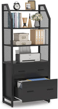 Tribesigns 2 Drawer File Cabinet with Bookshelf, Modern Vertical Filing Cabinet for Letter/Legal/A4 Size File, Large Printer Stand with Open Storage Shelves for Home Office, Black Home & Garden > Household Supplies > Storage & Organization Tribesigns Black  