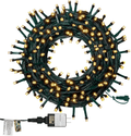 Twinkle Star 200 LED 66FT Christmas Fairy String Lights, St Patricks Day Lights with 8 Lighting Modes, Mini String Lights Plug in for Indoor Outdoor Halloween Garden Wedding Party Decoration, Green Home & Garden > Lighting > Light Ropes & Strings Twinkle Star Warm White  