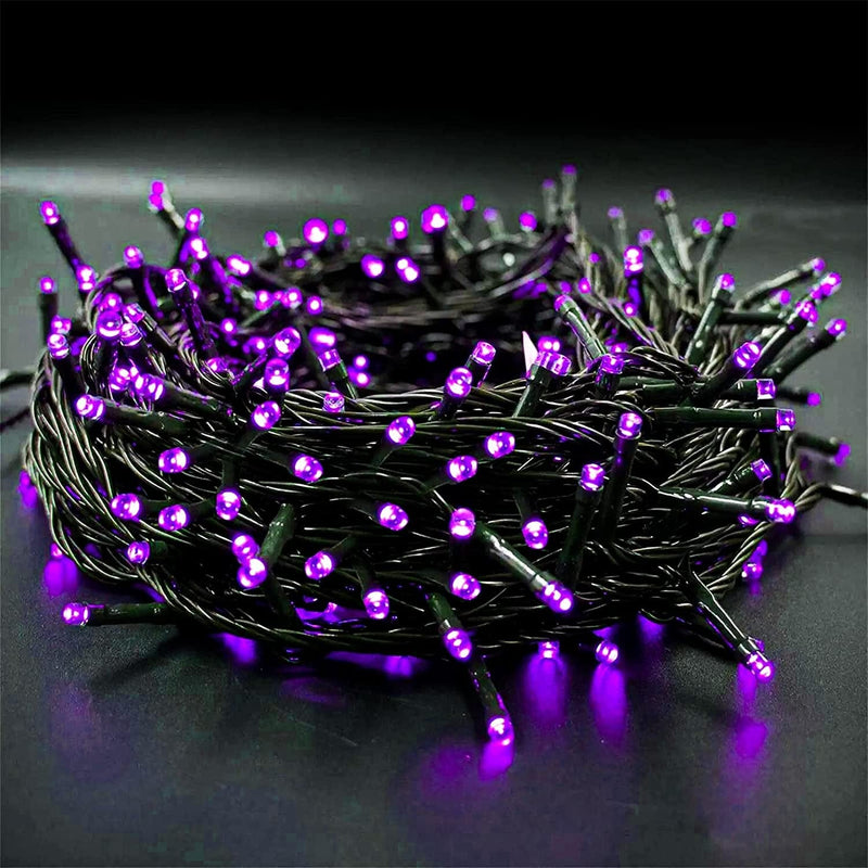 Twinkle Star 200 LED 66FT Christmas Fairy String Lights, St Patricks Day Lights with 8 Lighting Modes, Mini String Lights Plug in for Indoor Outdoor Halloween Garden Wedding Party Decoration, Green Home & Garden > Lighting > Light Ropes & Strings Twinkle Star Purple  