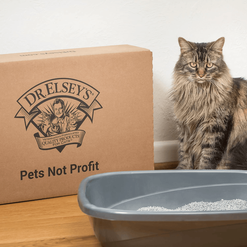 Ultra Premium Clumping Cat Litter Animals & Pet Supplies > Pet Supplies > Cat Supplies > Cat Litter Dr. Elsey's   