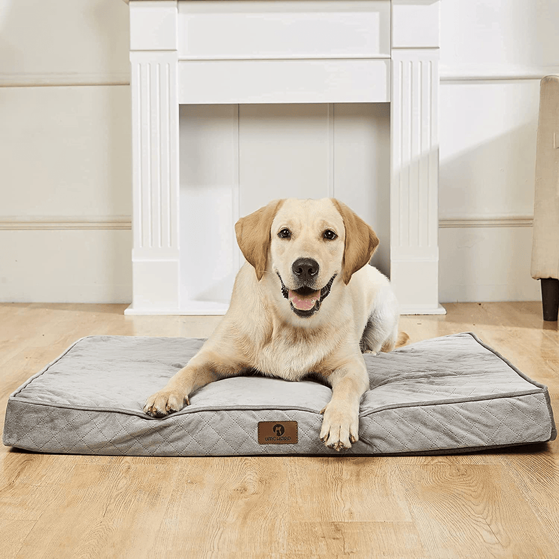Umchord Large Orthopedic Dog Bed for Large Dogs, Thick Egg Crate Memory Foam Dog Bed for Joint Relief, Quilted Plush Dutch Velvet Top with Removable Washable Cover & Non-Slip Bottom Animals & Pet Supplies > Pet Supplies > Dog Supplies > Dog Beds Umchord Light Grey 44"x32"x3"-XL 