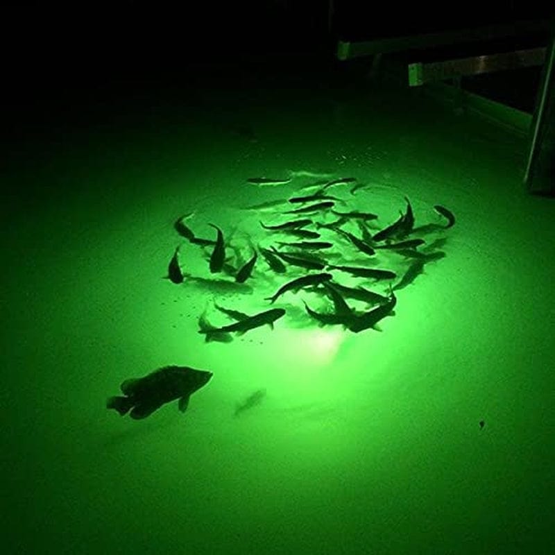 Underwater Fish Light 175W Single Light for Docks with 50’ of Marine Grade Wire, Easy to Install, Dusk to Dawn Operation, Salt or Fresh Water, Guaranteed to Attract Fish Home & Garden > Pool & Spa > Pool & Spa Accessories Underwater Fish Light   