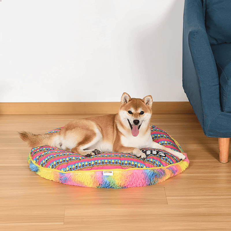 Universal Studios Trolls Dog Napper Bed | Soft Dog Bed, Multicolor Rainbow Dog Bed | Comfortable Dog Bed for Dogs | Pet Bed, Dog Mat, Crate Bed, Puppy Bed, Trolls Dog Bed, One Size (FF16803)