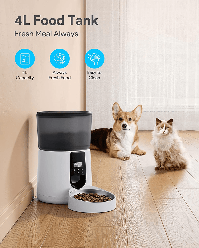 Upgraded Automatic Cat Feeder KATALIC Clog-Free 4L Cat Food Dispenser Sliding Lock Lid Storage Timed Feeder for Cat and Dogs with Voice Recorder Stainless Steel Bowl, Programmable Meal & Portion Animals & Pet Supplies > Pet Supplies > Cat Supplies Katalic   