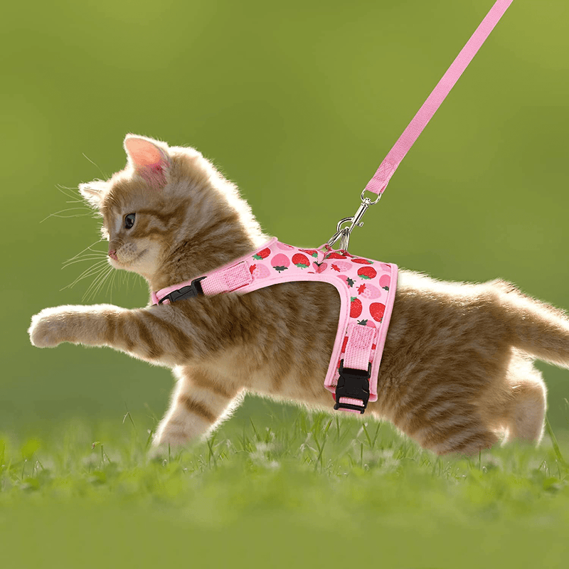 URATOT Cat Harness and Leash Set Cat Vest Harness Pet Leash and Collar Set Pet Harness for Kitties Puppies Small Pets Outdoor Walking