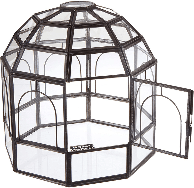 Urban Born Birdcage Large Glass Terrarium — 10" x 9" x 9" (Black Steel)