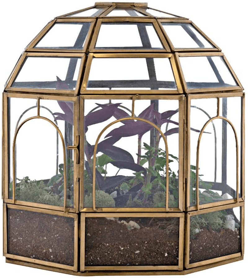 Urban Born Birdcage Large Glass Terrarium — 10" x 9" x 9" (Black Steel)