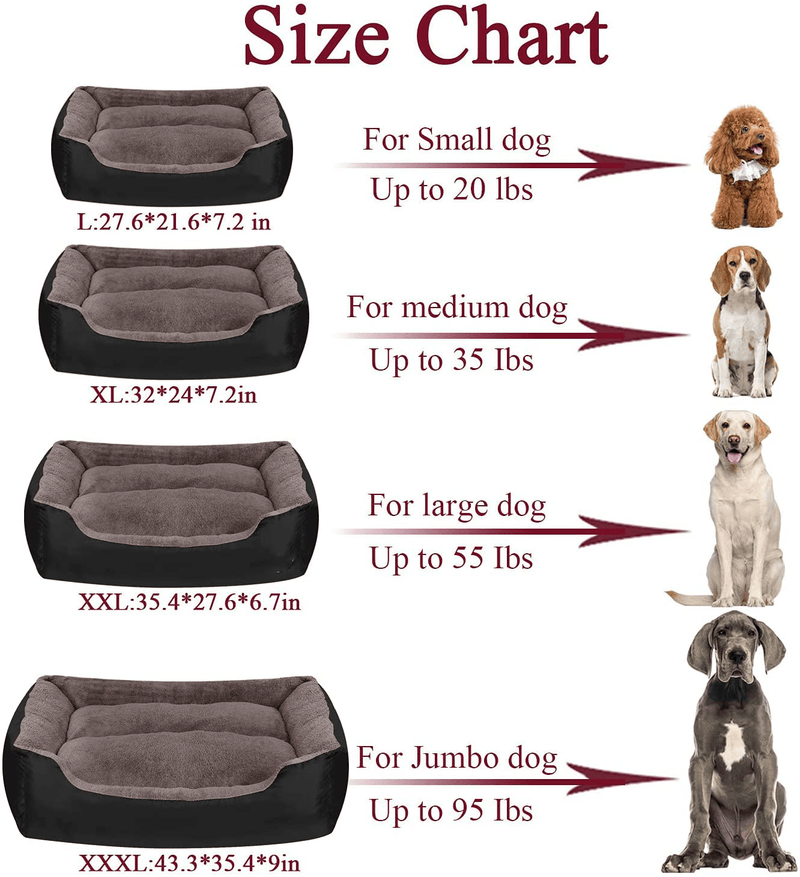 Utotol Dog Beds for Medium Dogs , Washable Pet Sofa Bed Firm Breathable Soft Couch for Small Puppies Cats Sleeping Orthopedic Beds Animals & Pet Supplies > Pet Supplies > Dog Supplies > Dog Beds Utotol   