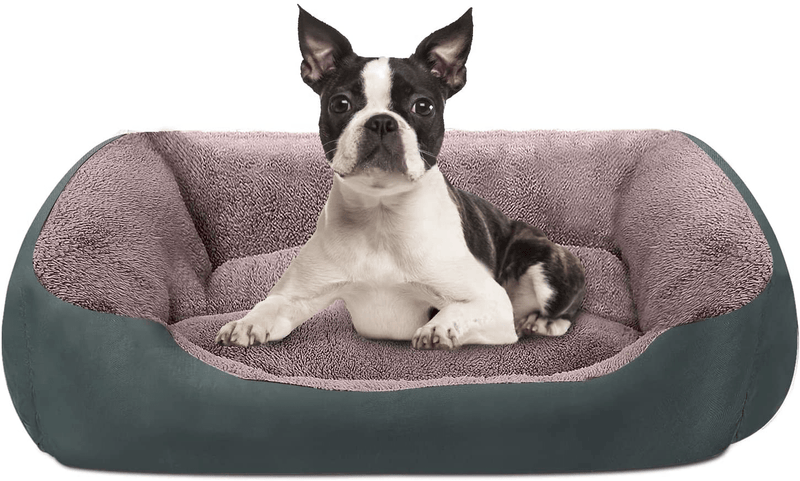 Utotol Dog Beds for Medium Dogs , Washable Pet Sofa Bed Firm Breathable Soft Couch for Small Puppies Cats Sleeping Orthopedic Beds Animals & Pet Supplies > Pet Supplies > Dog Supplies > Dog Beds Utotol Grey L (27'' x 21'') 