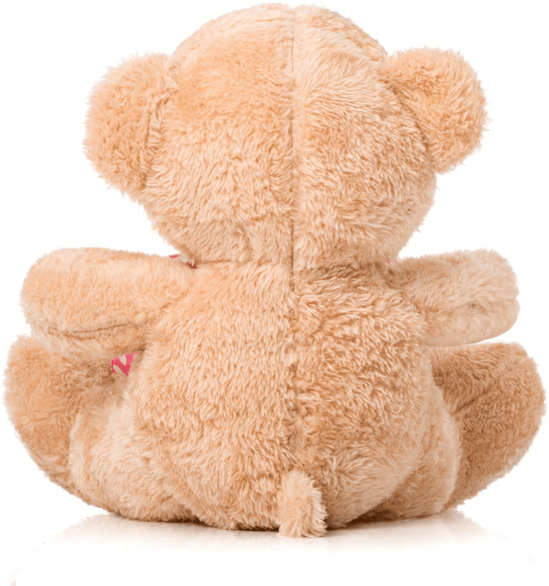 Valentine'S Day Bear 10” Valentines Gift for Girlfriend, Boyfriend, Plush Stuffed Animal (Happy Valentine'S Day)