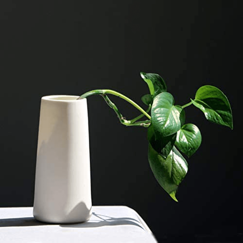 VanEnjoy 7" High Desktop Minimalist White Ceramic Vases Home Office Decoration Frosting Finish Vase Home & Garden > Decor > Vases VanEnjoy   