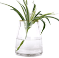 VanEnjoy 7 inch Clear Simple Glass Flower Vase, Decorative Gilded Rim Vase Home Decor for Indoor Centerpiece Home & Garden > Decor > Vases VanEnjoy Transparent  