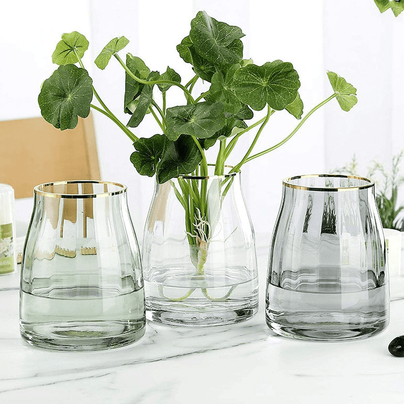 VanEnjoy 7 inch Clear Simple Glass Flower Vase, Decorative Gilded Rim Vase Home Decor for Indoor Centerpiece Home & Garden > Decor > Vases VanEnjoy   