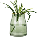 VanEnjoy 7 inch Clear Simple Glass Flower Vase, Decorative Gilded Rim Vase Home Decor for Indoor Centerpiece Home & Garden > Decor > Vases VanEnjoy Green  