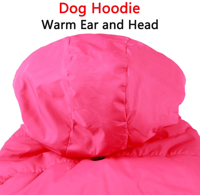 Vecomfy Fleece and Lining Extra Warm Dog Hoodie in Winter,Small Dog Jacket Puppy Coats with Hooded Animals & Pet Supplies > Pet Supplies > Dog Supplies > Dog Apparel vecomfy   