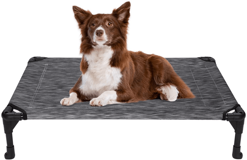 Veehoo Cooling Elevated Dog Bed, Portable Raised Pet Cot with Washable & Breathable Mesh, No-Slip Rubber Feet for Indoor & Outdoor Use, Large, Silver Gray Animals & Pet Supplies > Pet Supplies > Dog Supplies > Dog Beds Veehoo Black Silver-Mesh Medium (Pack of 1) 