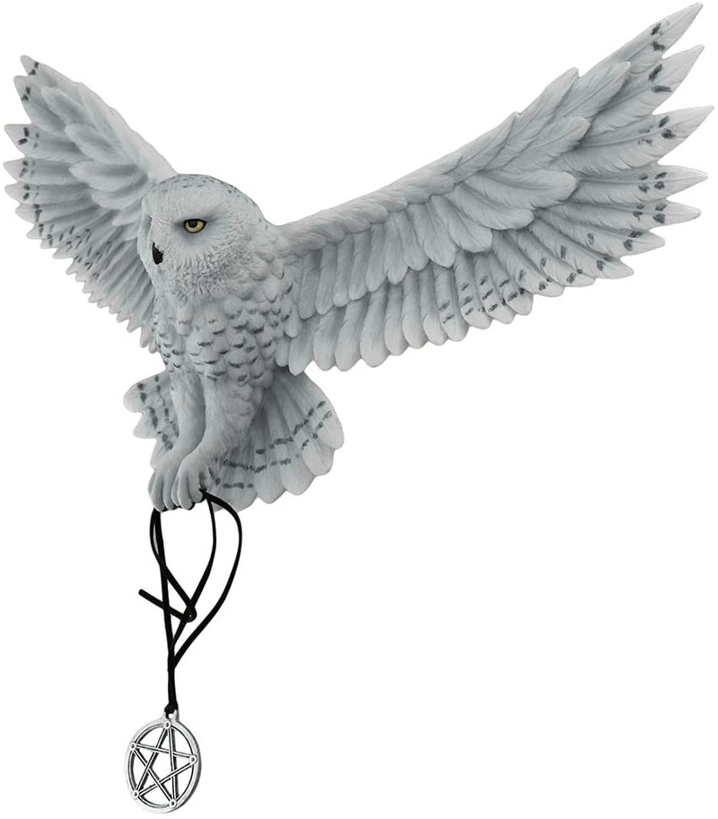 Veronese Design Anne Stokes Awaken Your Magic Snowy Owl with Pentagram Pendant Wall Sculpture Home & Garden > Decor > Artwork > Sculptures & Statues Veronese Design   