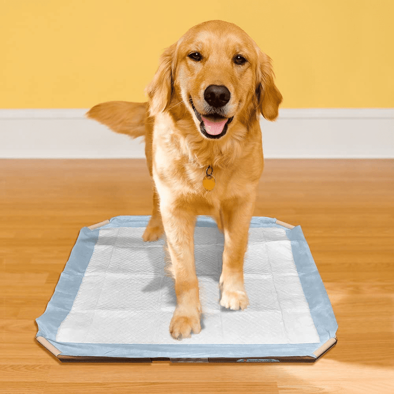 Vet's Best Dog Pad Holder | Portable Tray for Training and Puppy Pads | Protection Against Leakage, Bunching, and Shredding | 21 x 21 Inches or Larger Animals & Pet Supplies > Pet Supplies > Dog Supplies > Dog Diaper Pads & Liners Vet's Best   