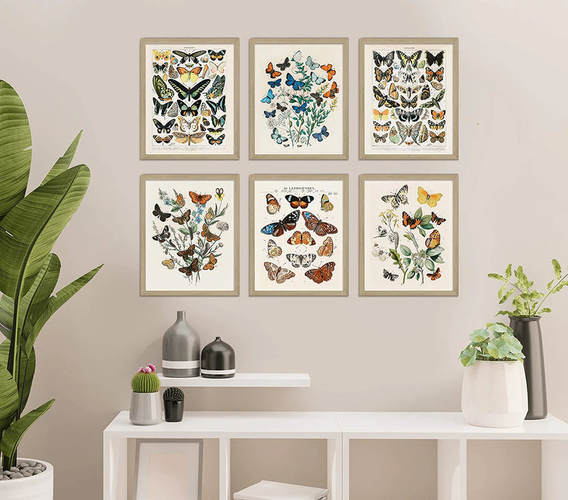 Vintage Butterfly Art Prints 6 Set 8x10, Butterflies Vintage Poster Prints, Cottagecore Aesthetic Decor, Vintage Wall Collage, Wall Art Posters, Vintage Nature Posters