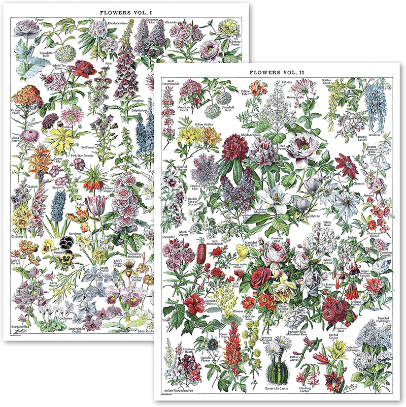 Vintage Flower Poster Prints - Floral Botanical Identification Reference Chart Volume 1 & 2 (LAMINATED, 18" X 24")