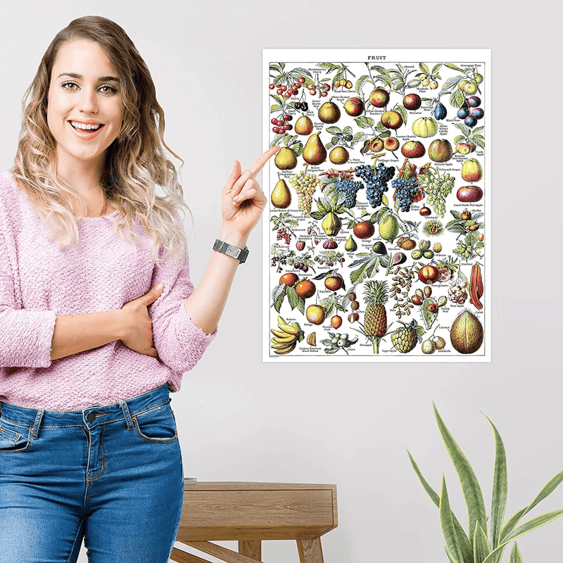 Vintage Fruits & Vegetables Poster Prints - Botanical Identification Reference Chart - Kitchen Decorations - Set of 2 Posters (LAMINATED, 18" x 24")