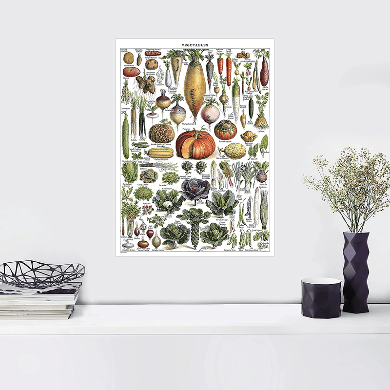Vintage Fruits & Vegetables Poster Prints - Botanical Identification Reference Chart - Kitchen Decorations - Set of 2 Posters (LAMINATED, 18" x 24") Home & Garden > Decor > Artwork > Posters, Prints, & Visual Artwork Palace Learning   