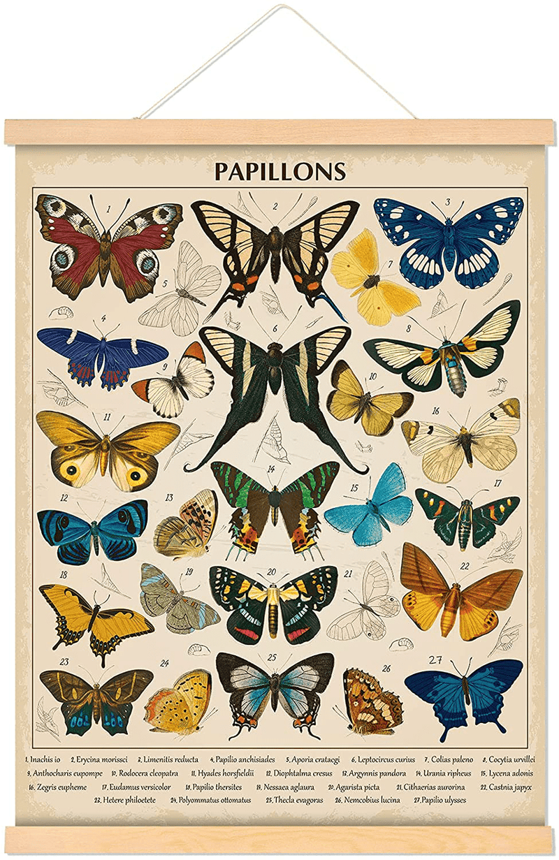 Vintage Papillons Butterflies Poster Butterflies Wall Art Prints Rustic Style of Butterflies Wall Hanging for Living Room Office Classroom Bedroom Playroom Dining Room Decor Frame 15.7 X 19.7 Inch Home & Garden > Decor > Artwork > Posters, Prints, & Visual Artwork Tatuo   