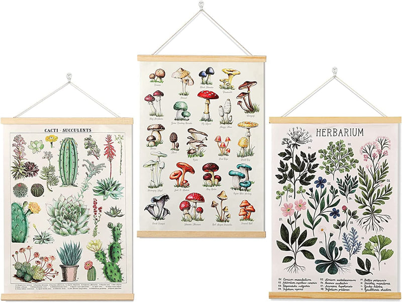 Vintage Posters Plant Wall Art Prints Cottagecore Decor, Mushroom Posters Cactus Wall Art Print Fungi Decor, Rustic Botanical Hanging Posters for Bedroom Room Aesthetic Decors Frames, 16X22Inch X3Pcs Home & Garden > Decor > Artwork > Posters, Prints, & Visual Artwork Armindou Beige 22"Lx16"W 