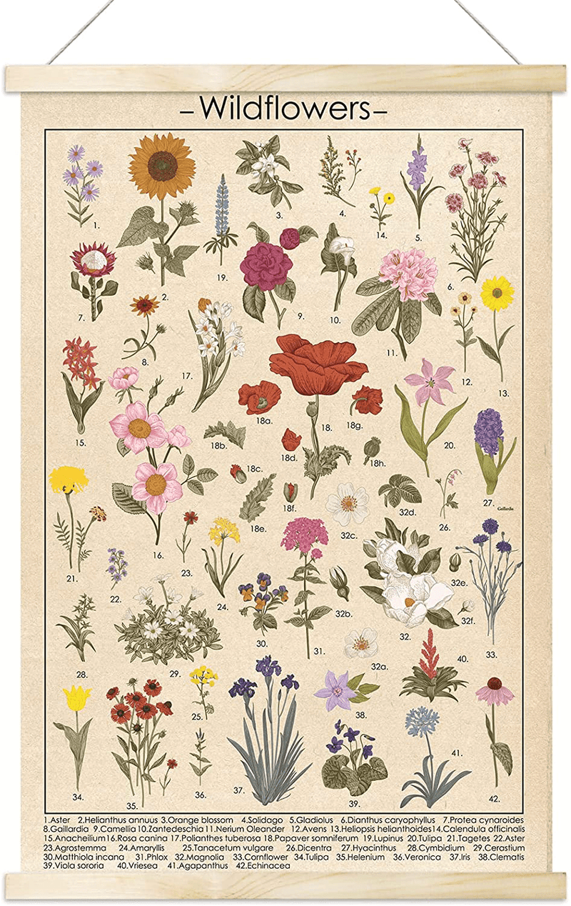 Vintage Wildflowers Poster Botanical Wall Art Prints Colorful Rustic Style of Floral Wall Hanging Illustrative Reference Flower Chart Poster for Living Room Office Classroom Bedroom Playroom Dining Room Decor Frame 15.7X23.6 Inches Home & Garden > Decor > Artwork > Posters, Prints, & Visual Artwork Tevxj Wildflowers  