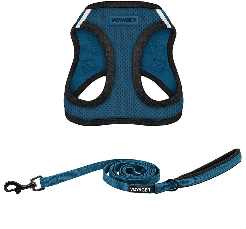 Voyager Step-In Air Dog Harness - All Weather Mesh, Step in Vest Harness for Small and Medium Dogs by Best Pet Supplies Animals & Pet Supplies > Pet Supplies > Dog Supplies Best Pet Supplies, Inc. Blue Base (Leash Bundle) XL (Chest: 20.5 - 23") 