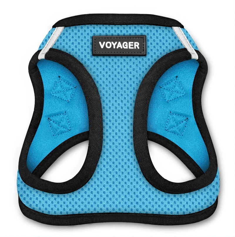 Voyager Step-In Air Dog Harness - All Weather Mesh, Step in Vest Harness for Small and Medium Dogs by Best Pet Supplies Animals & Pet Supplies > Pet Supplies > Dog Supplies Best Pet Supplies, Inc. Baby Blue Base M (Chest: 16 - 18") 