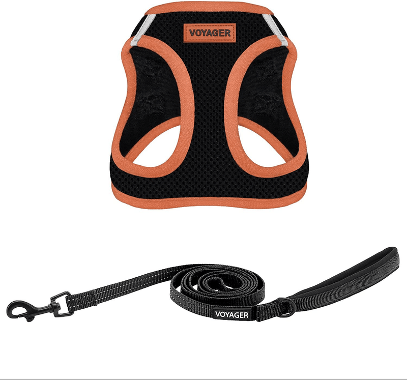Voyager Step-In Air Dog Harness - All Weather Mesh, Step in Vest Harness for Small and Medium Dogs by Best Pet Supplies Animals & Pet Supplies > Pet Supplies > Dog Supplies Best Pet Supplies, Inc. Orange Trim (Leash Bundle) S (Chest: 14.5 - 16") 