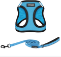 Voyager Step-In Air Dog Harness - All Weather Mesh, Step in Vest Harness for Small and Medium Dogs by Best Pet Supplies Animals & Pet Supplies > Pet Supplies > Dog Supplies Best Pet Supplies, Inc. Baby Blue Base (Leash Bundle) XXS (Chest: 11.5 - 13") 